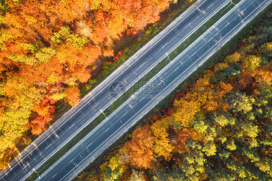 日落时美丽的秋林中的道路鸟瞰五颜六色的景观与公路,汽车,树木与红色,黄色橙色的叶子巷道的顶部视图秋天的颜色秋天图片