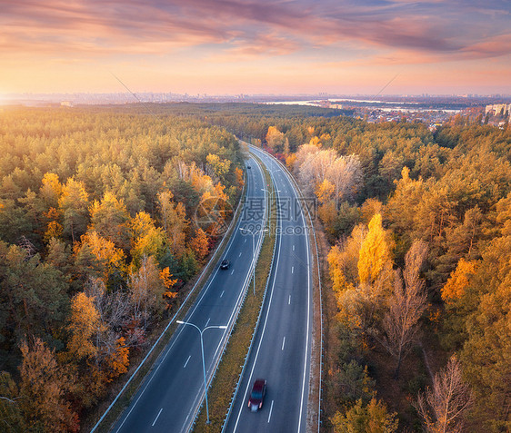 秋天日落时美丽的树林与公路美景图片