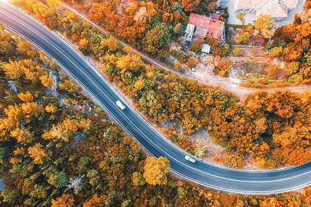 日落时美丽的秋林中的道路鸟瞰五颜六色的景观与空路,树木与红色,黄色橙色的叶子秋天高速公路的无人驾驶飞机上俯瞰背景图片