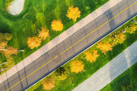 秋天的日落时,美丽的绿色田野黄树的空中景观景观与空沥青路,树木小巷,绿草秋天公园的高速公路无人机的顶部视图图片