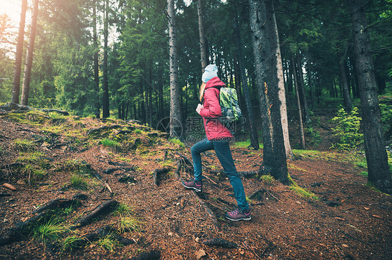 轻的女人带着背包春天日落时走绿色的森林里穿红色夹克的苗条女孩阳光明媚的晚上徒步旅行美丽的景色与游客,树木,绿草图片