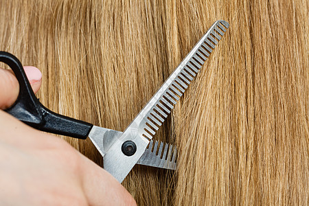 专业的切割理发店特写细节设备黑色特殊剪刀剪金色直长光滑的头发特写细节特殊剪刀剪头发图片