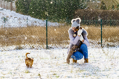 轻的女人冬天玩得很开心下雪的时候,雌她的三只小纯种狗小狗玩耍女人冬天玩狗图片