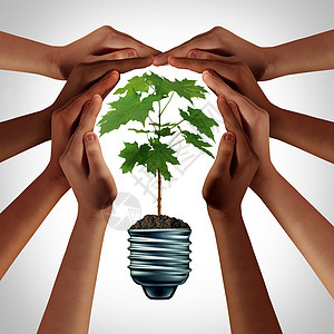 生态的,如同的手,着绿色的植物,个同的社会的想法,保护环境,个环境友好的灯泡三维插图元素图片