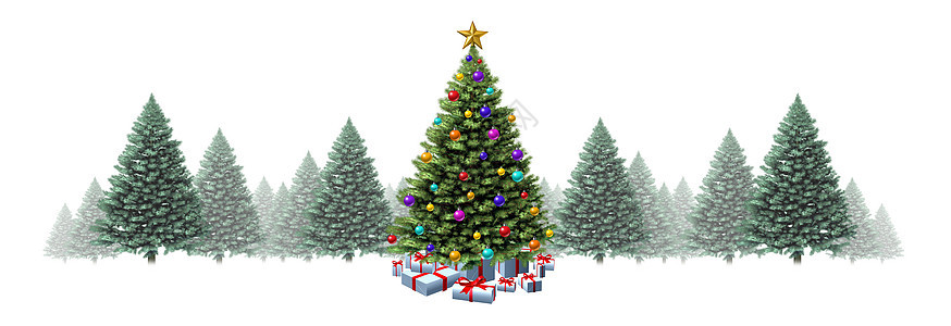 诞树水平边框与松树白色背景上,节日的常青林,并为寒假季节提供礼物装饰,3D插图图片