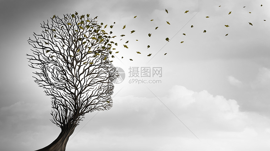 衰老衰老变老的,棵树,形状为个人的头部损失个健康的象征,老护理长寿的想法,三维插图风格图片