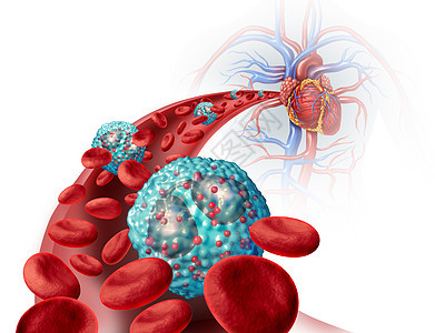 嗜酸粒细胞白细胞人体内与免疫系统过敏哮喘的医学状况关,细胞内动脉解剖的三维图示图片