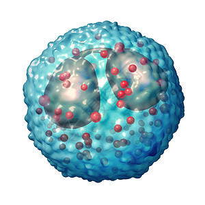 嗜酸粒细胞白细胞与免疫系统过敏哮喘的医学状况关,解剖学的三维插图图片