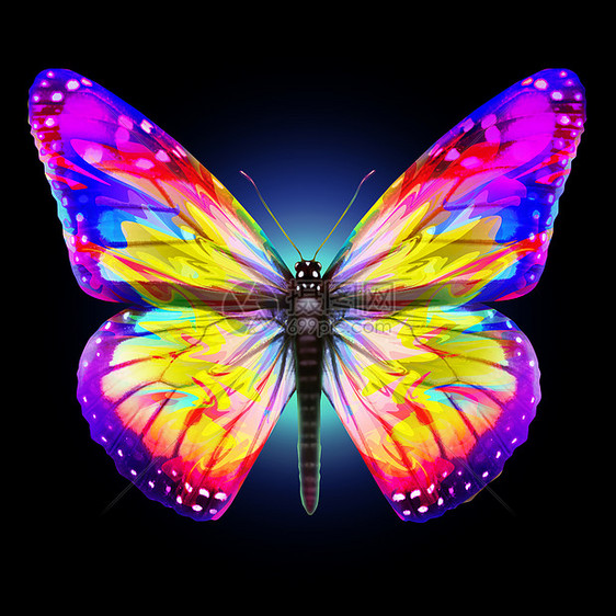 幻想蝴蝶种美丽明亮抽象昆虫,代表了三维插图元素的神奇蝴蝶的翅膀图片