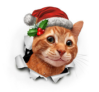 假日猫戴着顶红色的诞帽,用3D插图元素纸上爆发出来图片
