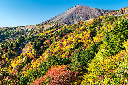 秋落叶山福岛东北山图片