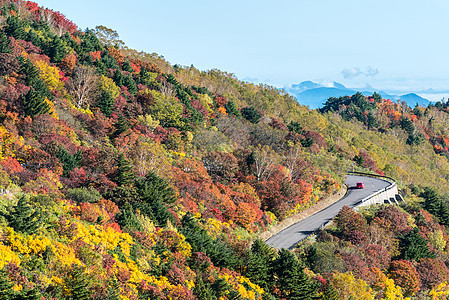 秋落叶山福岛东北山图片