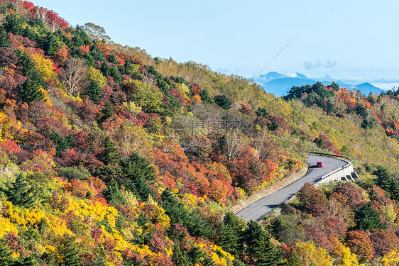 秋落叶山福岛东北山图片