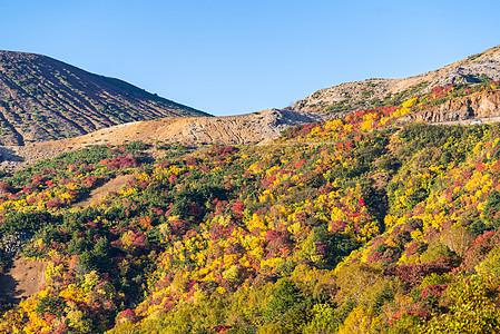 秋落叶山岱山福岛东北日本图片