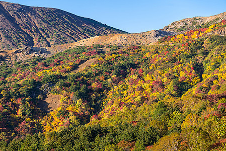 秋落叶山岱山福岛东北日本图片