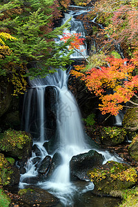 秋落林Ryuzu瀑布日本日木子图片