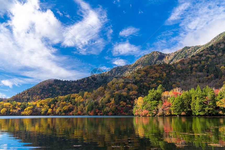 秋落湖森林林地山尤诺科湖日本尼科托奇吉高清图片下载 正版图片 摄图网 秋落湖森林林地山尤诺科湖日本尼科托奇吉高清图片下载 正版图片 摄图网