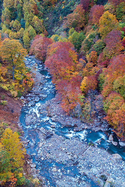 日本秋田东北森林荒地河流叶秋秋季季节的鸟瞰图图片