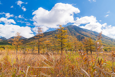 秋景的森霍加拉高原田林山日本尼科托奇吉图片