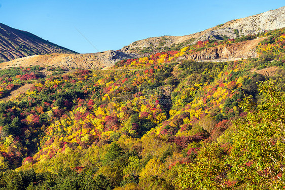 秋落叶山岱山福岛东北日本图片