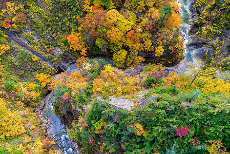 秋景的鸟瞰森林树林与河流上的小村大石桥青森东北日本图片