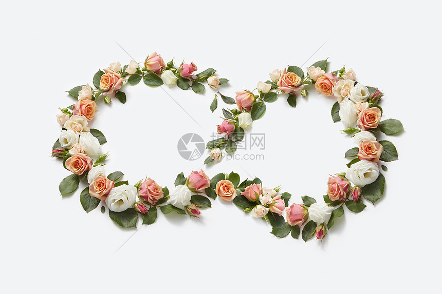 盛开的角落花珊瑚玫瑰与绿叶浅灰色的背景 平躺情人节花玫瑰花环形状如图八高清图片下载 正版图片 摄图网 盛开的角落花珊瑚玫瑰与绿叶浅灰色的背景 平躺情人节花玫瑰花环形状如图八高清图片下载 正版图片 摄图网