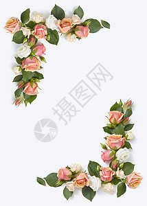 贺卡框架天然机玫瑰花与绿叶浅灰色背景,平躺情人节祝贺玫瑰花角框图片