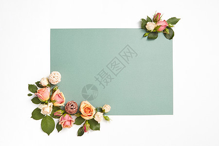 装饰自然开花玫瑰花与绿叶浅灰色背景,生日贺信卡带玫瑰花叶的角落贺卡图片