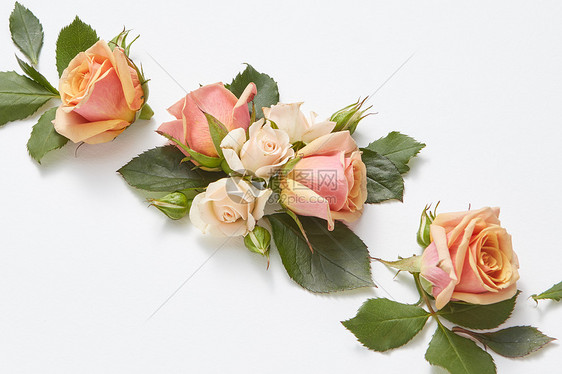贺卡玫瑰花与绿叶浅灰色背景平躺情人节明信片玫瑰花的节日盛开背景图片