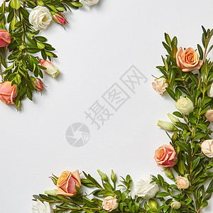 祝贺植物角落框架常青枝的箱木与珊瑚玫瑰花浅灰色背景 情人节贺卡绿叶边界常绿叶子玫瑰花高清图片下载 正版图片 摄图网 祝贺植物角落框架常青枝的箱木与珊瑚玫瑰花浅灰色背景 情人节贺卡绿叶边界常绿叶子玫瑰花高清图片下载 正版图片 摄图网