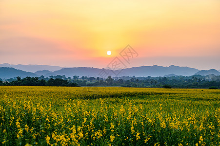 陆地上日落的自然景观图片