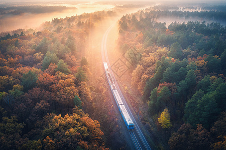 秋天日出时雾丽森林中火车的鸟瞰图秋天的通勤火车五颜六色的景观与铁路,雾树与生机勃勃的树叶,阳光的风景火车图片