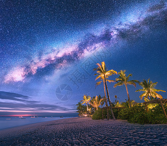 夏天的夜晚,沙滩上棕榈树日光床雨伞的银河海岸景观,美丽的星空,星系绿色的手掌非洲桑给巴尔旅行图片