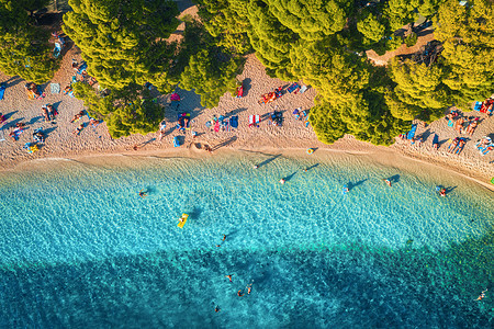 鸟瞰沙滩,五颜六色的雨伞,游泳的人,清澈的海湾,透明的蓝色水绿树日落夏天克罗地亚,亚得里亚海旅行的风景海图片