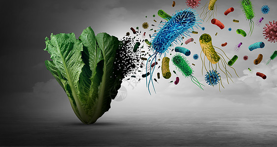 蔬菜上的蔬菜细菌细菌以及摄入受污染的绿色食品的健康风险,包括莴苣,种三维渲染元素的产品污染安全图片