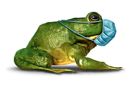 动物保护野生动物福利只青蛙戴着医学具,以保护动物免受环境保护的三维插图风格图片