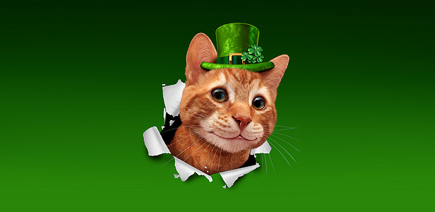 帕特里克节爱尔兰假日猫戴着顶绿色的小妖精帽,三叶草纸上冒出来,3D插图元素图片