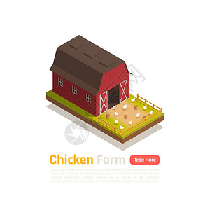 家禽饲养传统谷仓系统农场与自由运行草喂鸡户外等距成矢量图图片