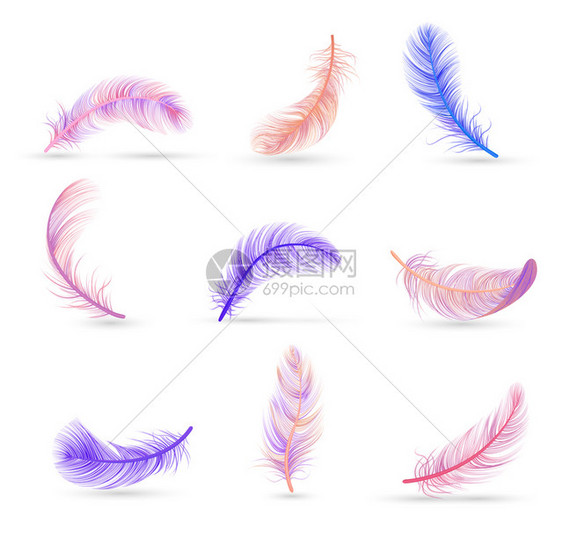 逼真的羽毛白色背景成与软紫粉红色孤立羽毛矢量插图图片