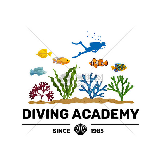 潜水学院课程培训小册子广告刻字与水肺潜水员剪影,彩色海藻鱼矢量插图图片