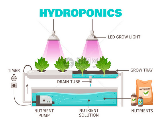 水培养殖与垂直节水符号卡通矢量插图图片