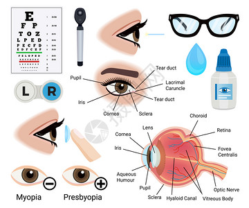 眼睛结构眼睛护理图标近视眼老花眼符号平孤立矢量插图插画