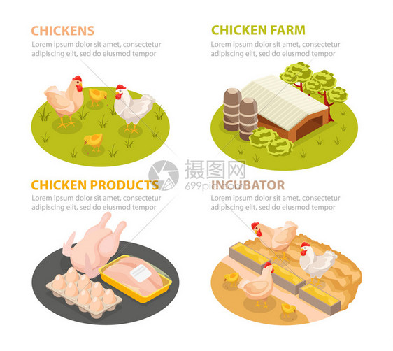 鸡场等距4x1圆圈成与家禽产品农场场景与可编辑文本矢量插图图片