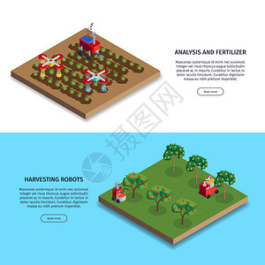 等距智能农场横幅按钮,可编辑文本种植园与施肥收获机器人矢量插图图片