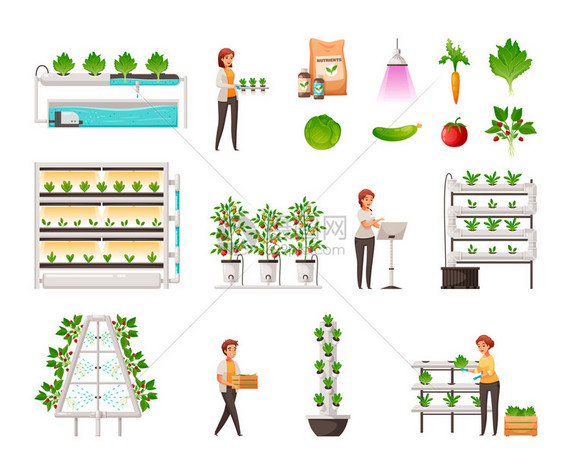 温室农业垂直水培航空符号卡通矢量插图图片