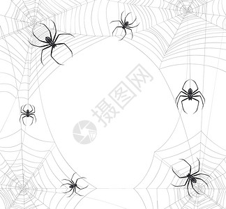 黑色蜘蛛网现实背景与圆形成的昆虫坐蜘蛛网上与空矢量插图图片