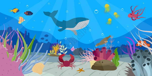 美丽的水下世界场景与鲸鱼同的鱼蟹海星章鱼密封平矢量插图插画
