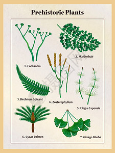 史前植物植物学文本标题图像草药内的垂直框架矢量插图图片