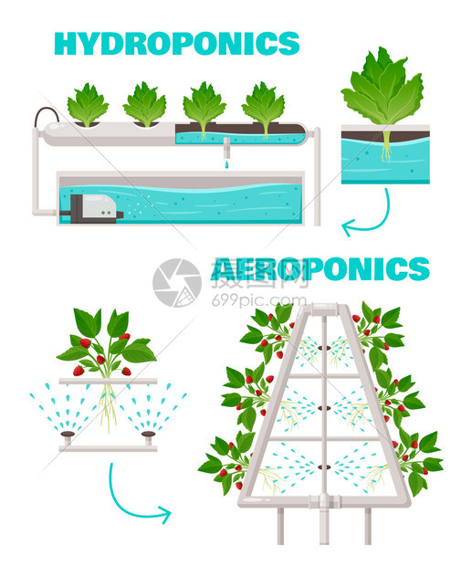 水培航空与浇水快速增长符号卡通矢量插图图片