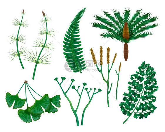 史前植物空白背景矢量插图上了史前时期野生草药的孤立图像图片